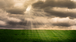 채우려면, 먼저 비우세요