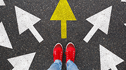 성공의 아버지는 누구인가?